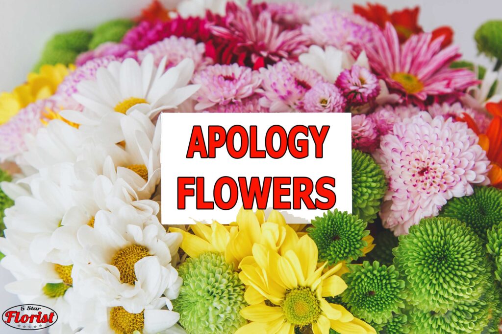 apology flowers Winnipeg