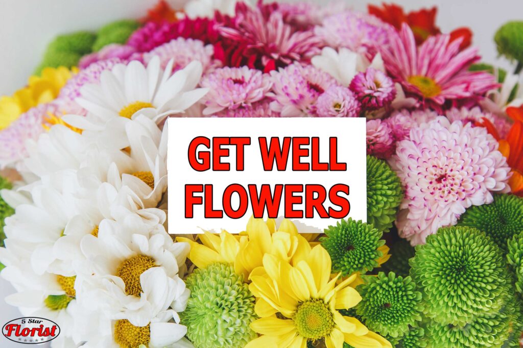 get-well-flowers Winnipeg