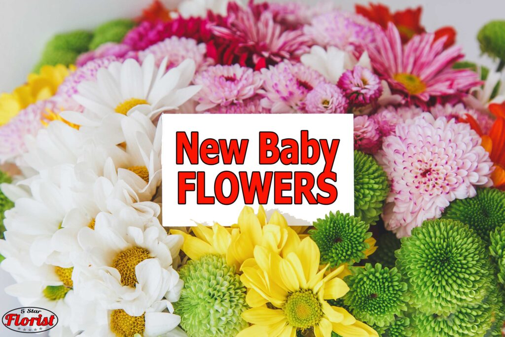 new baby flowers Winnipeg