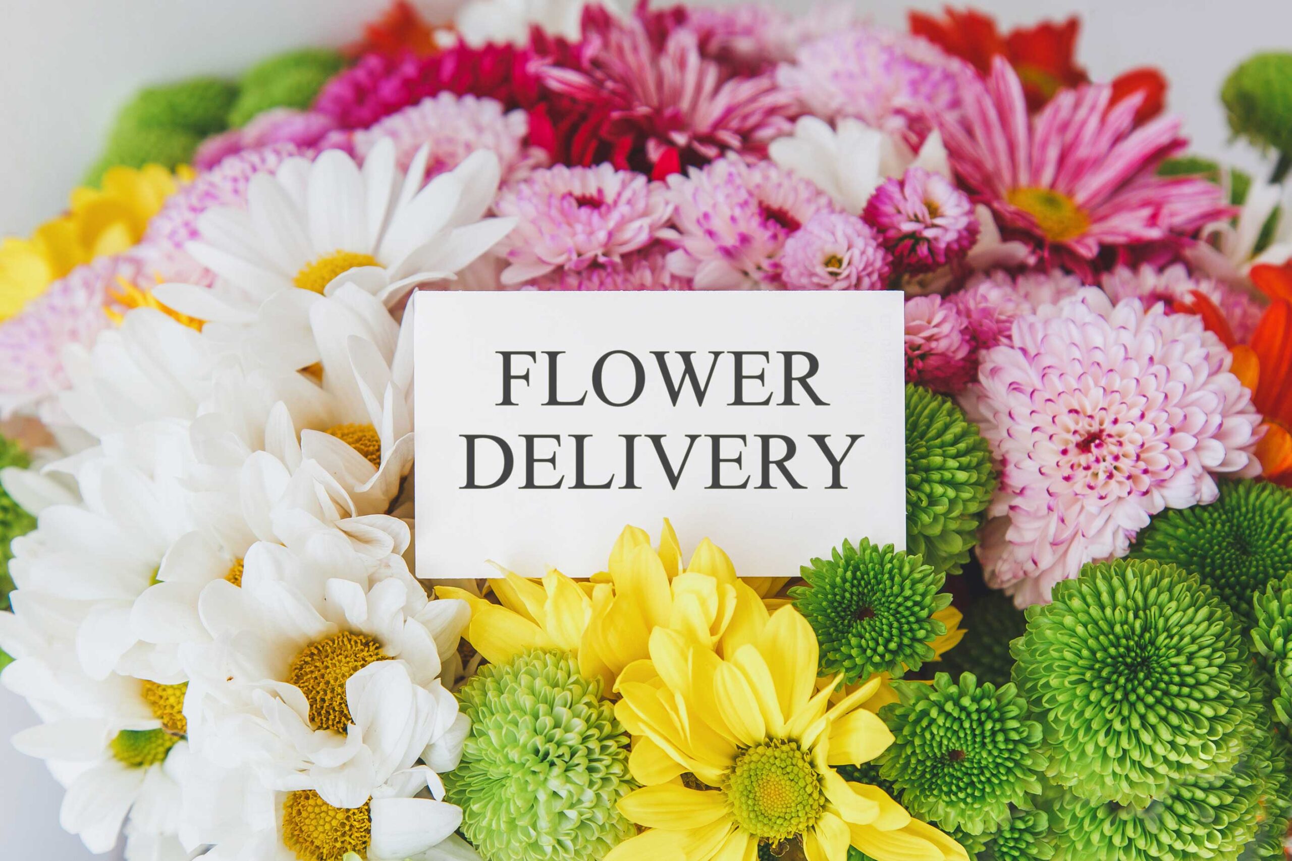 same-day-flower-delivery- Winnipeg